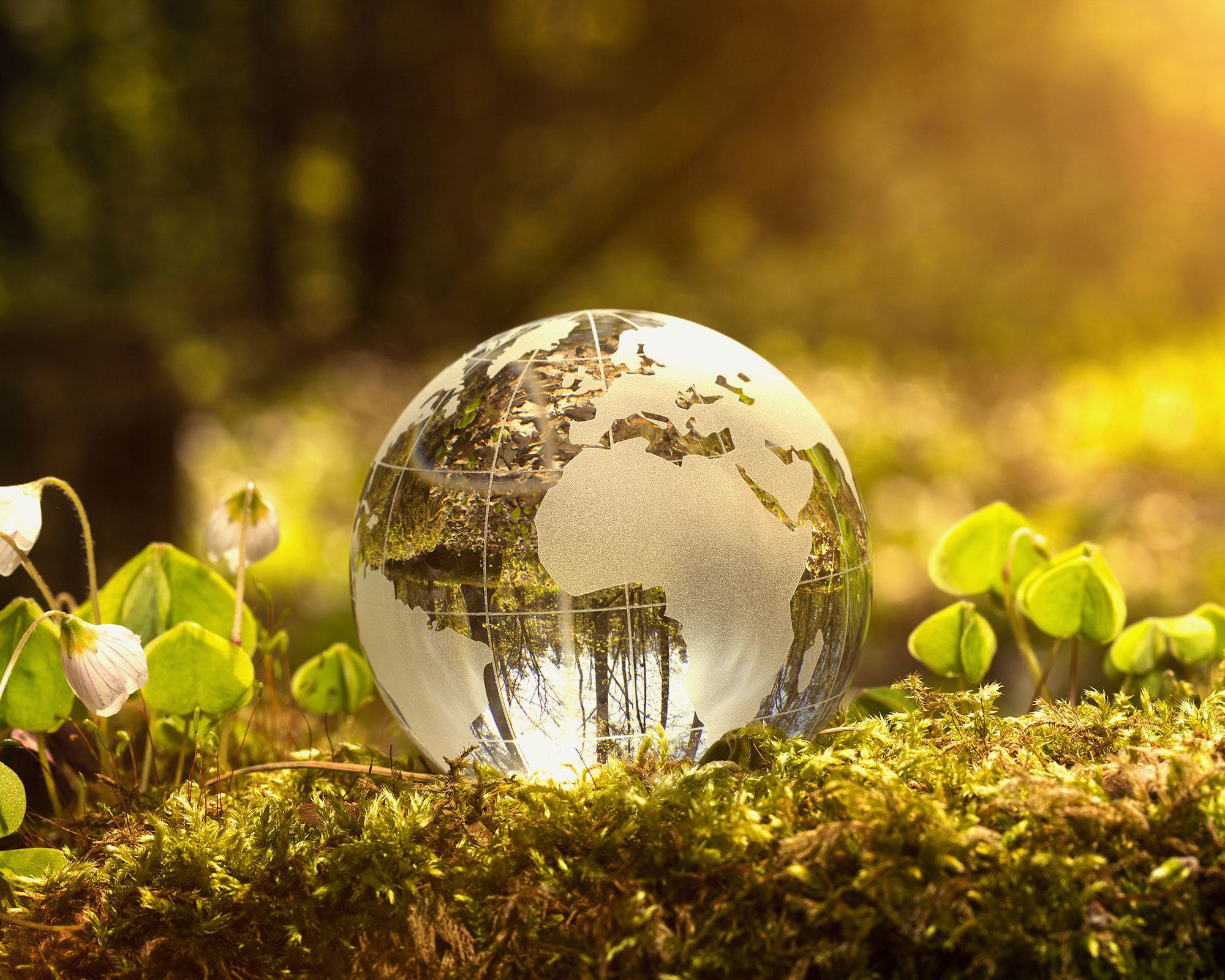 Environmental Policy